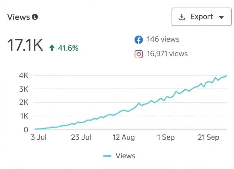 Meta insights: 17.1K views, up 41.6%: 146 on Facebook and 16,971 on Instagram.